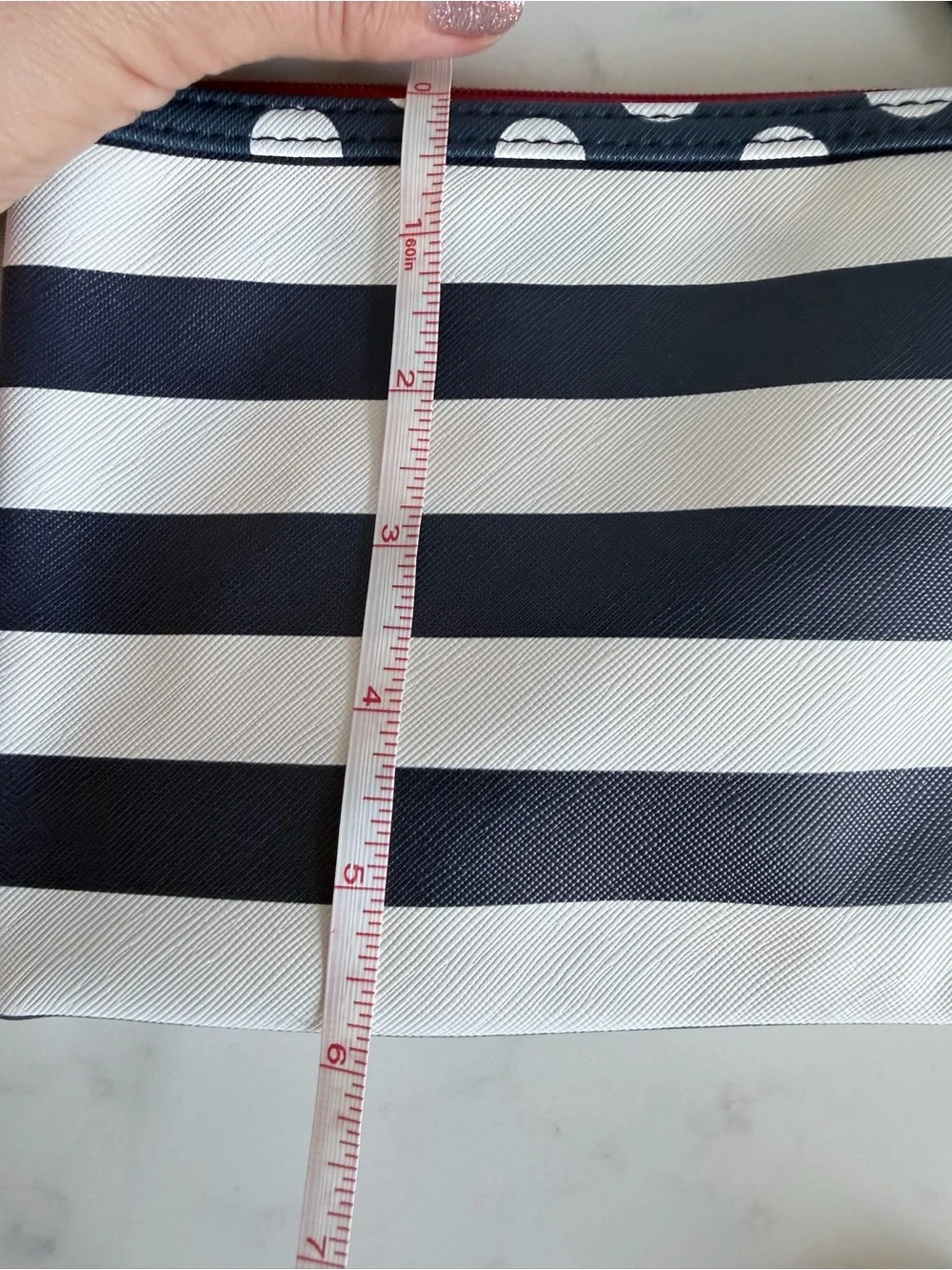 Striped Navy and White Zip Pouch with Red Lining